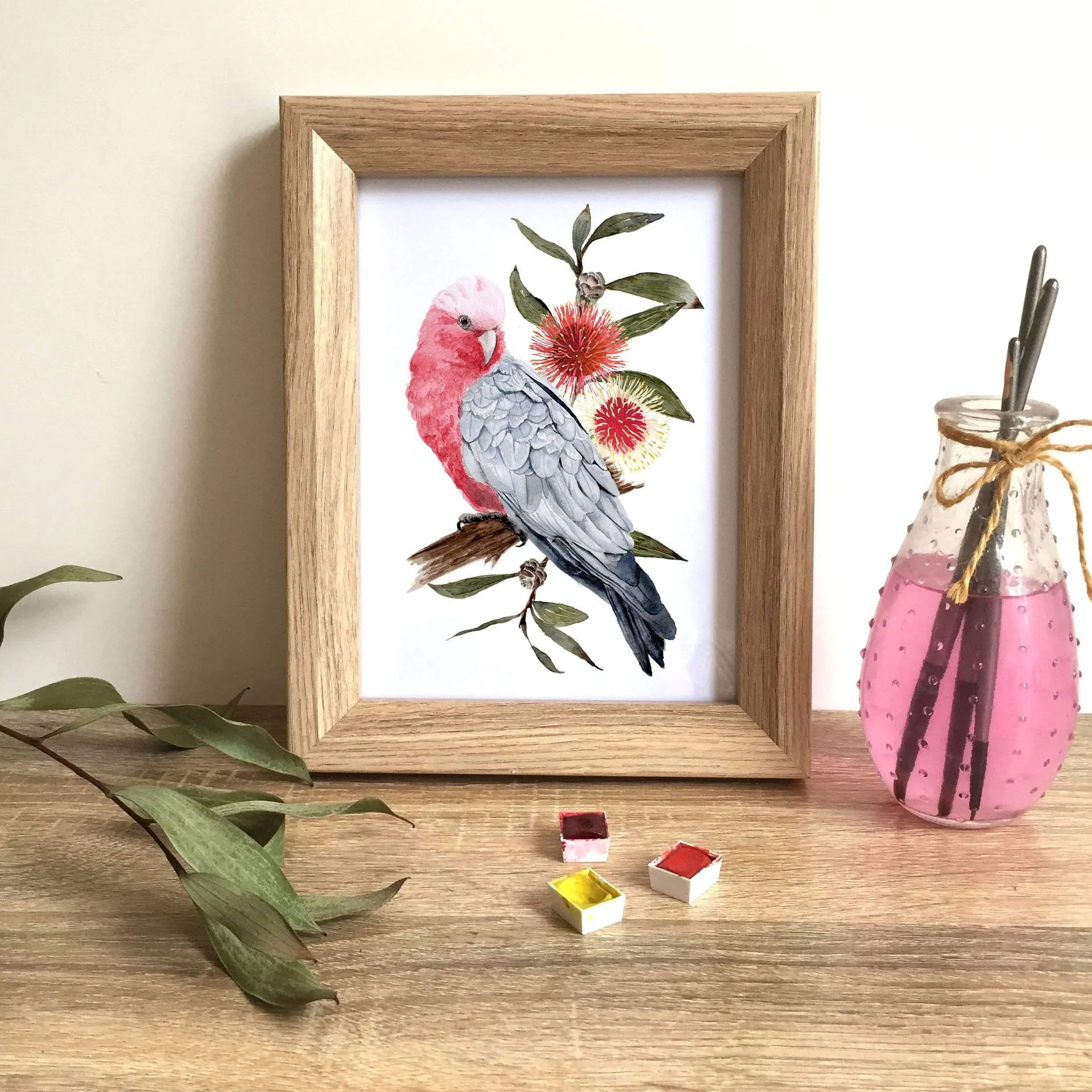 Galah Art Print set of 3