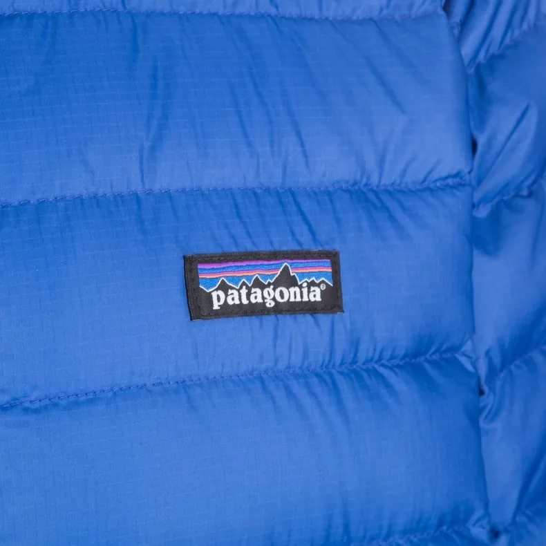 Patagonia Down Sweater Hoody (Viking Blue)