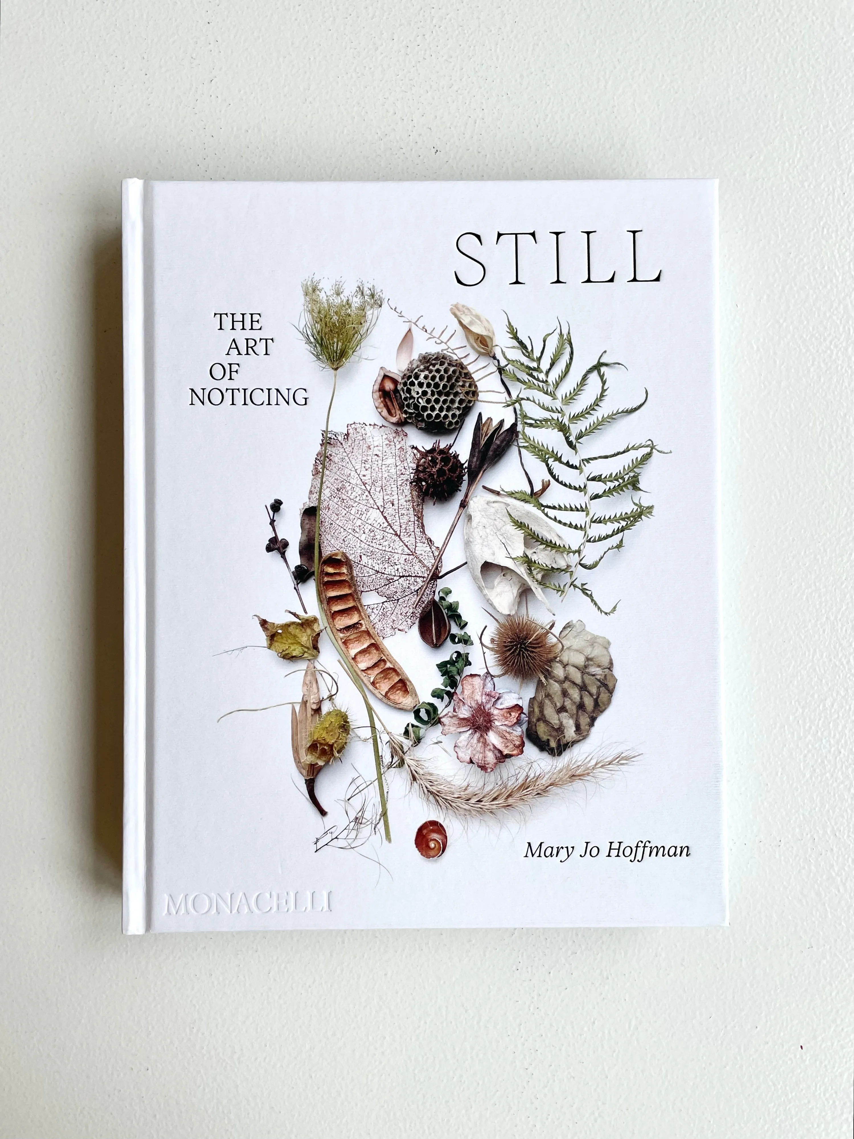 Still | The Art of Noticing