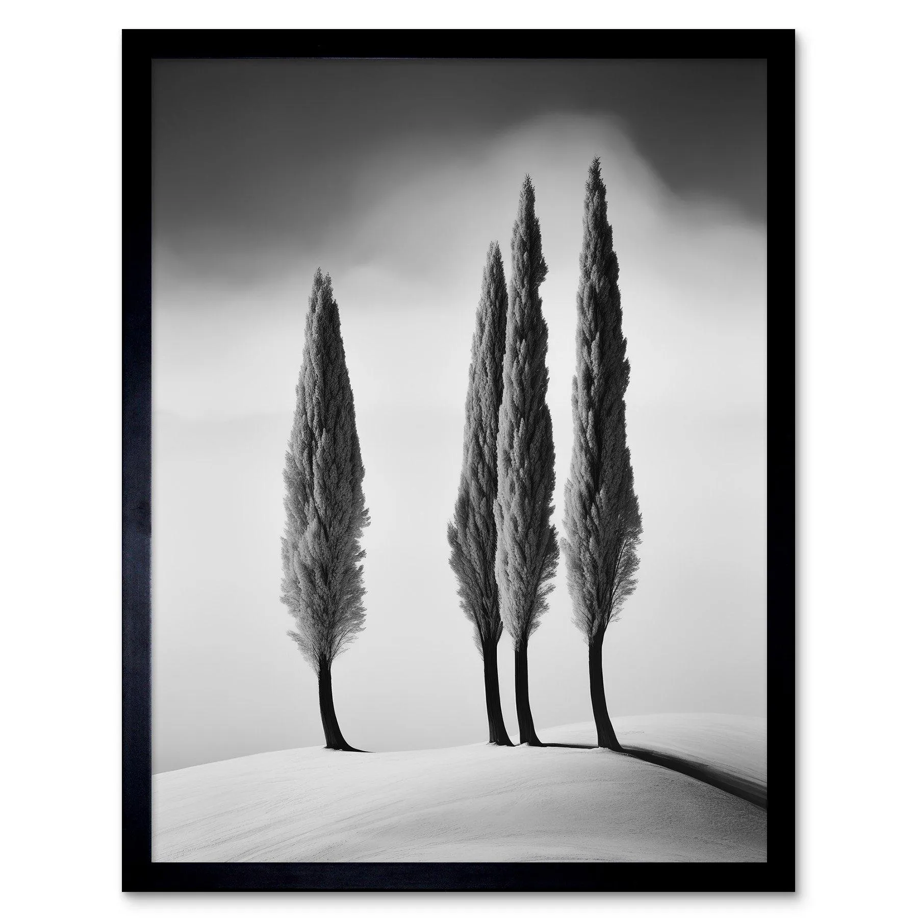 Wall Art & Pictures | Wall Art Print Group of Cypress Trees on Snowy Hill Minimalist Black and White Photograph Cypresses in