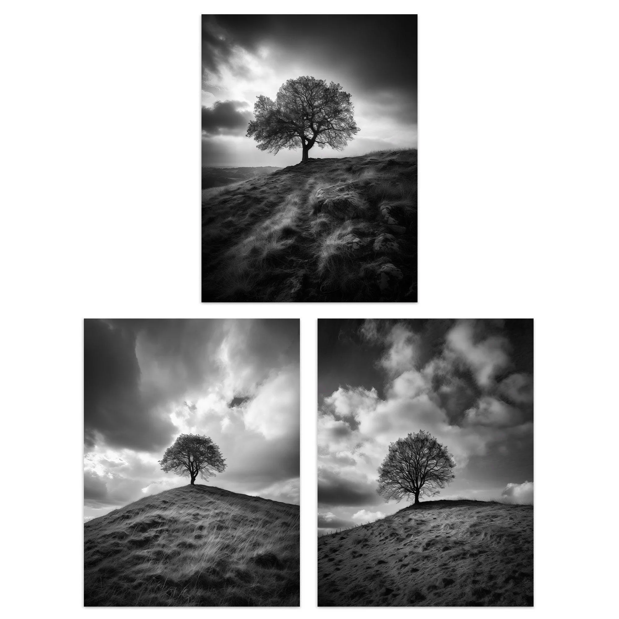 Wall Art & Pictures | Wall Art Print Set of 3 Lone Tree on a Hill Black and White Photographs Countryside Field Landscape Li