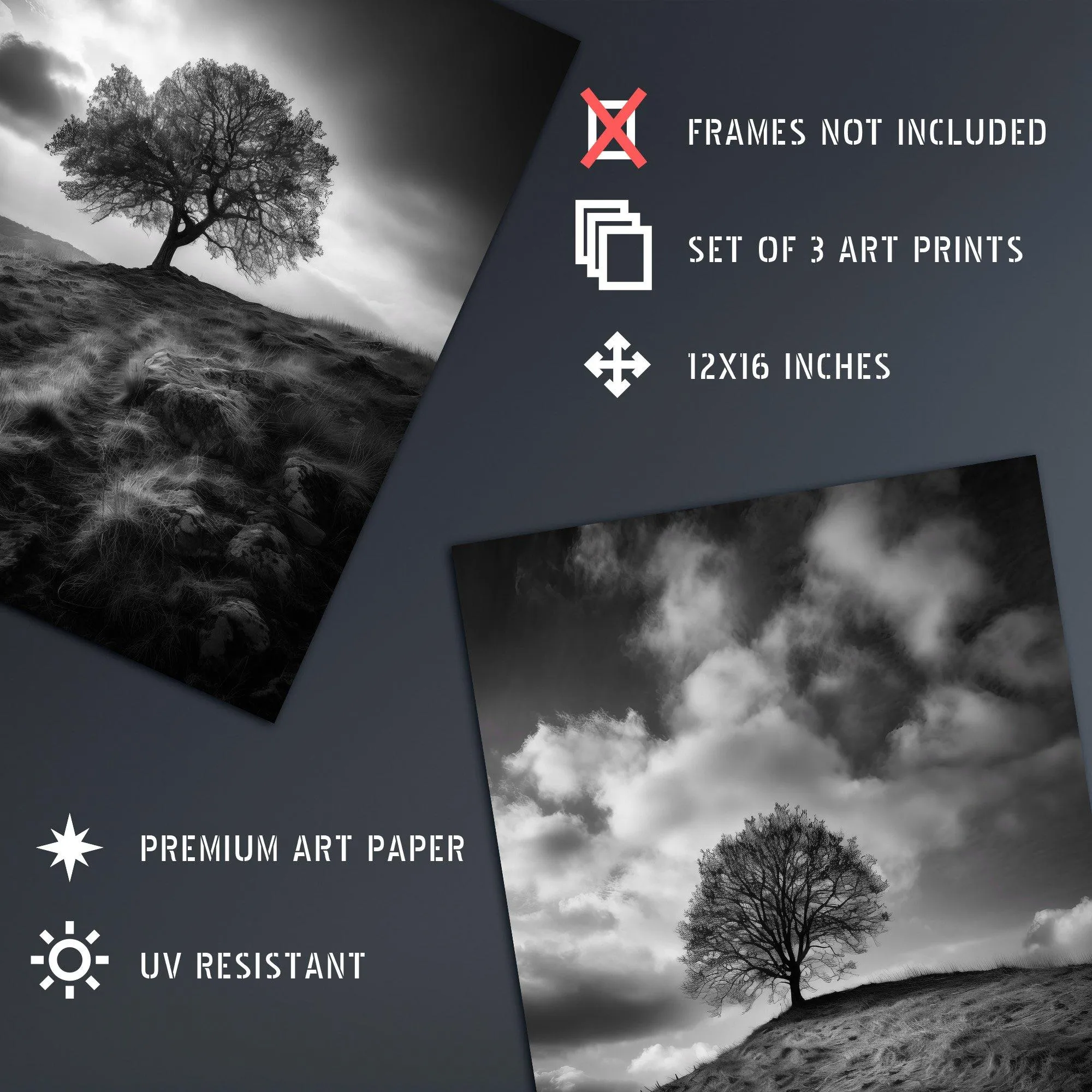 Wall Art & Pictures | Wall Art Print Set of 3 Lone Tree on a Hill Black and White Photographs Countryside Field Landscape Li