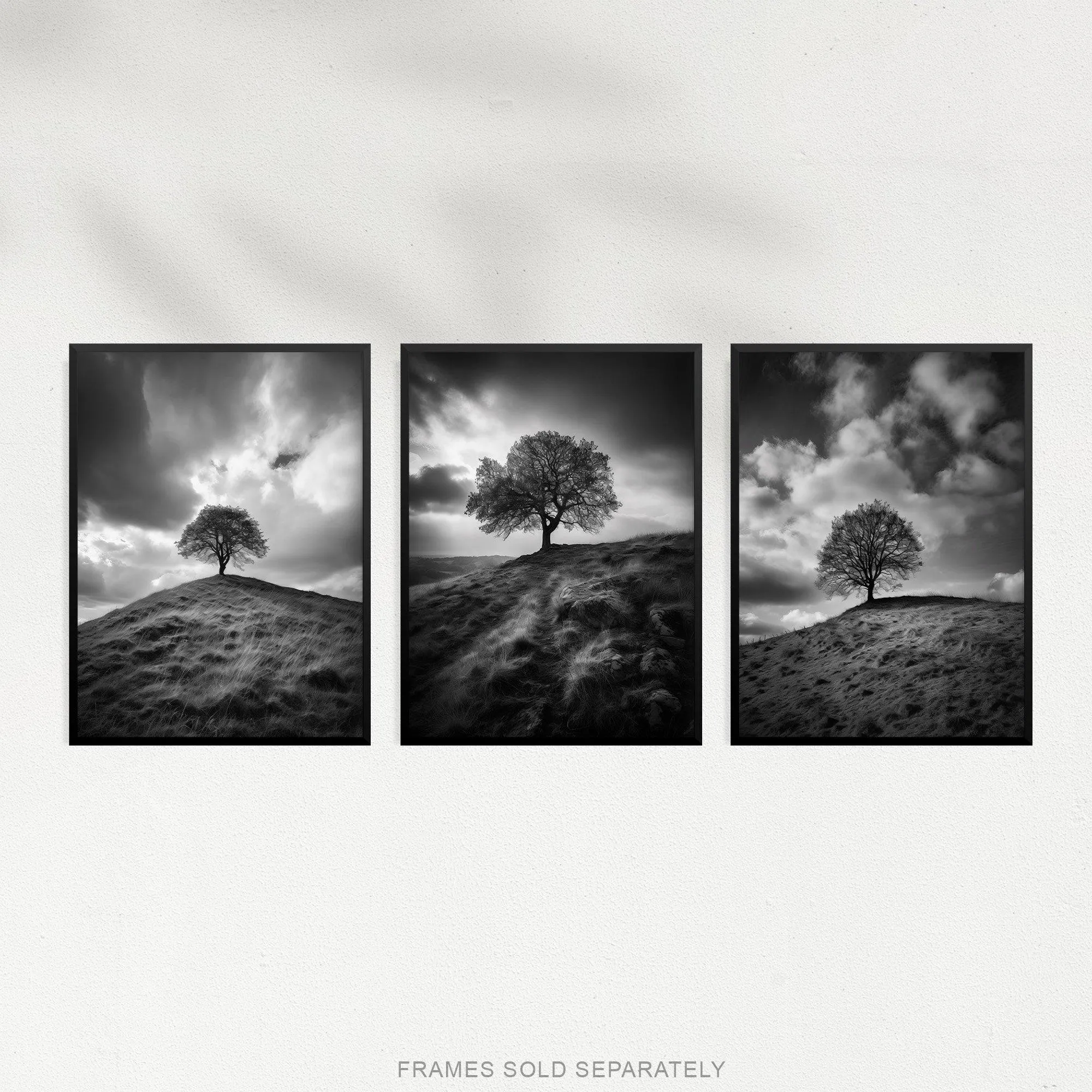 Wall Art & Pictures | Wall Art Print Set of 3 Lone Tree on a Hill Black and White Photographs Countryside Field Landscape Li